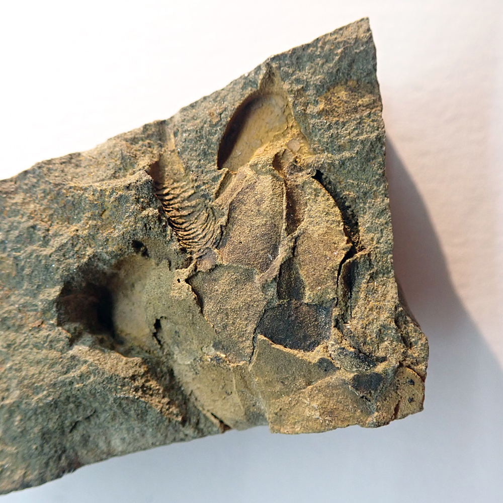 33 mm (sag), Skryje - Dlouhá hora