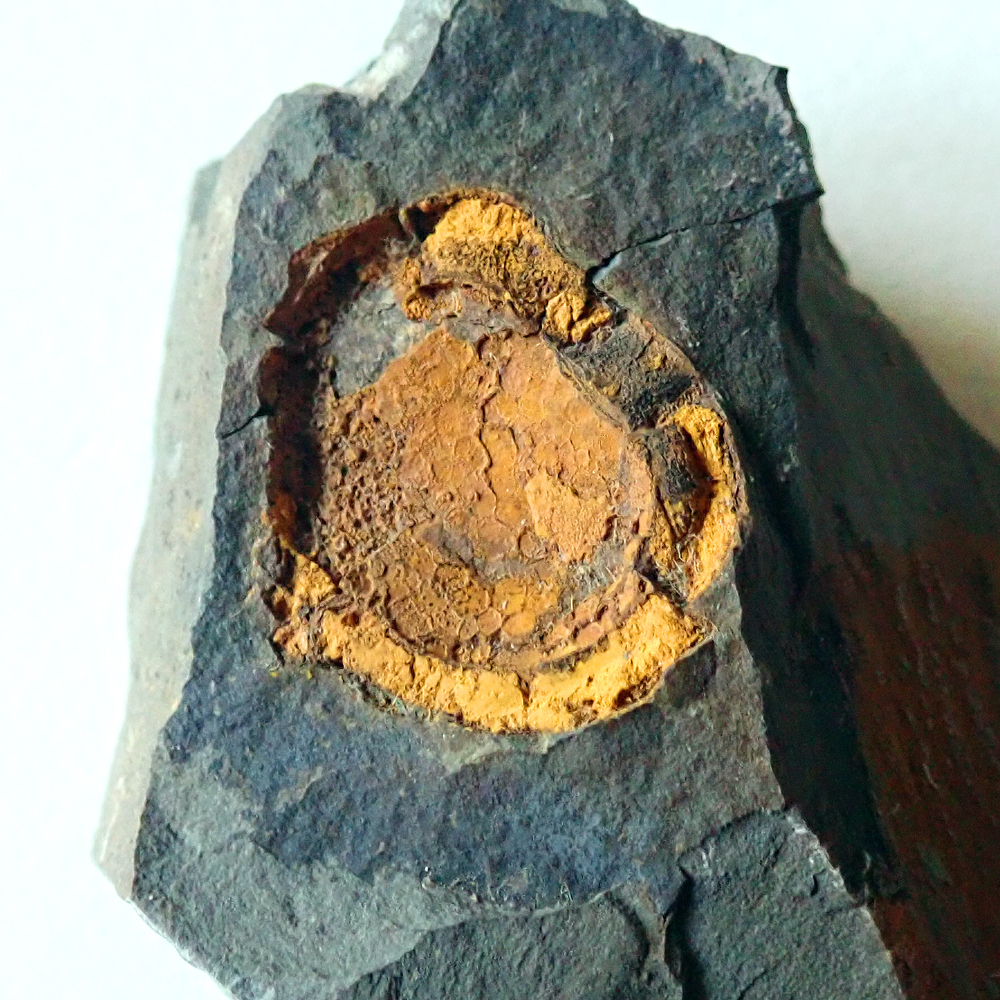 průměr 22 mm, Skryje