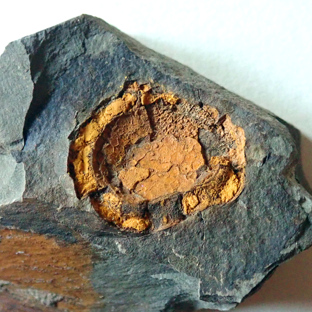 průměr 22 mm, Skryje