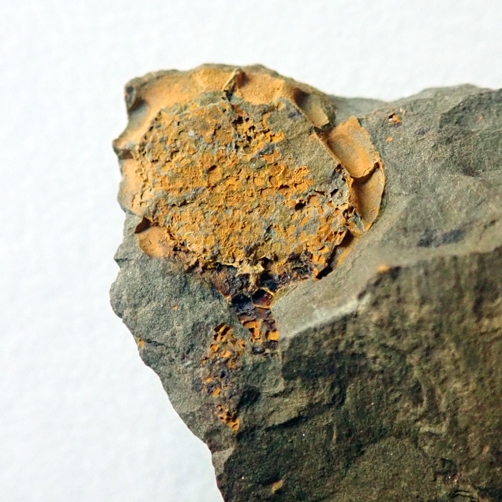 27 mm (sag), Skryje - Plazy