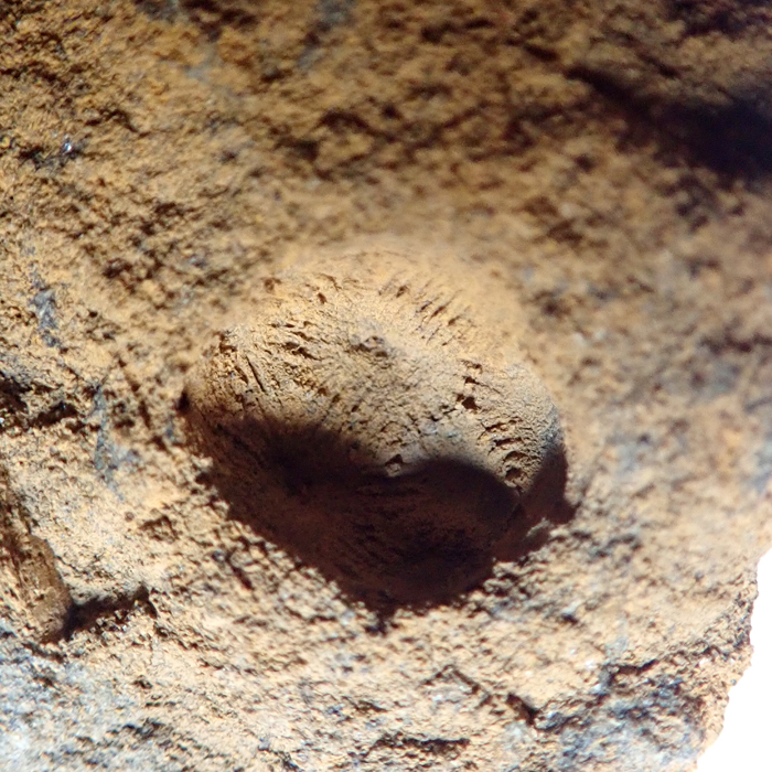 10 mm (sag) - negativ, Týřovice