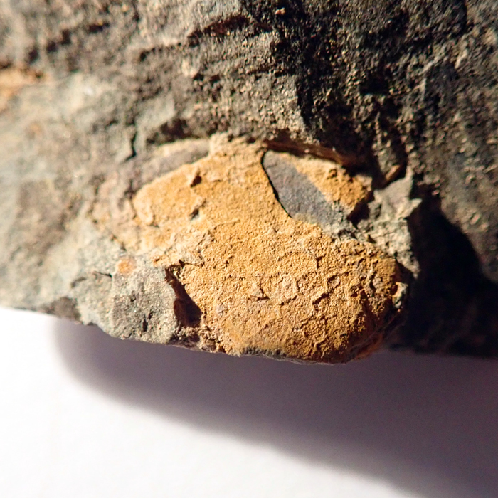 11 mm, Karáskova rokle