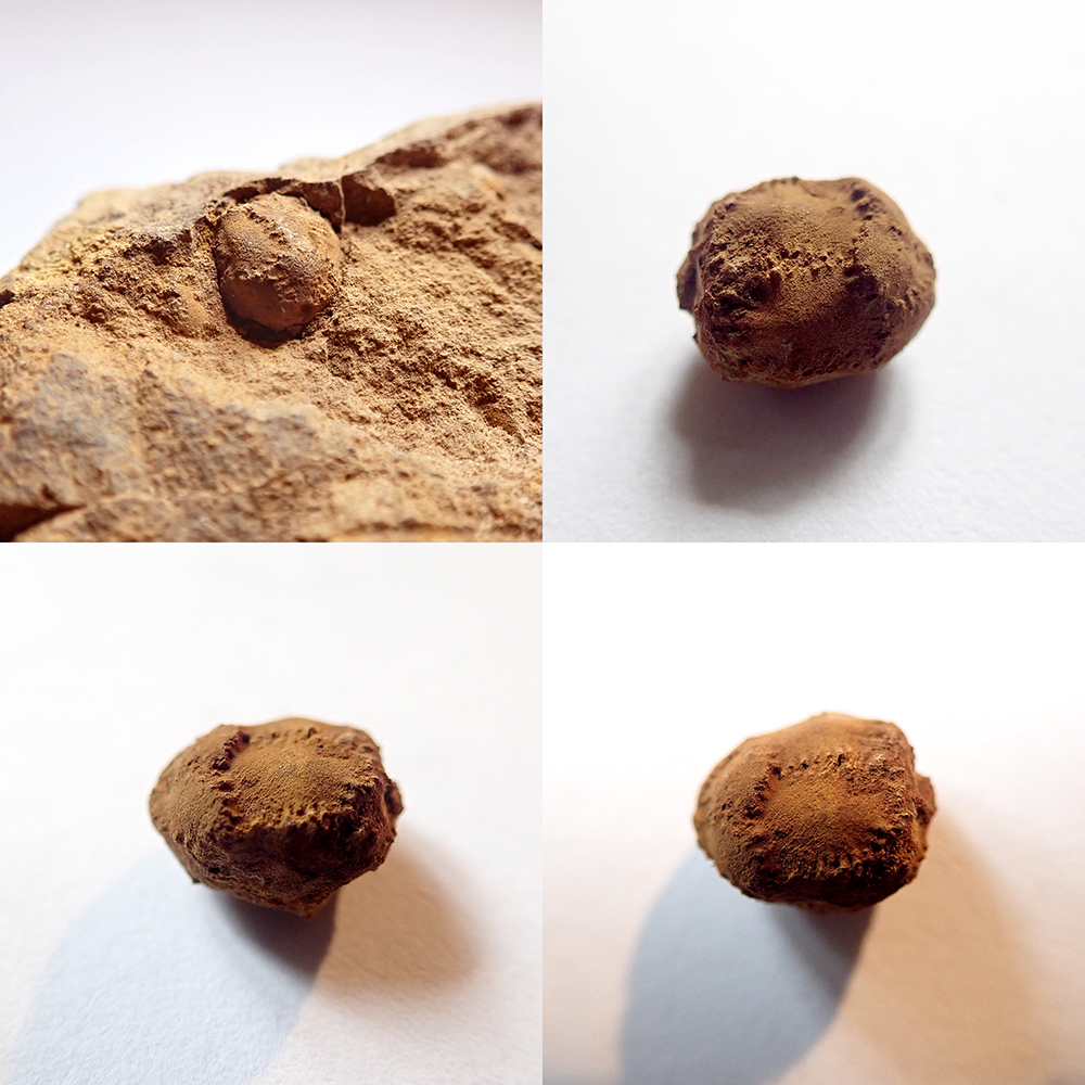 9 mm (sag), Týřovice, 2024