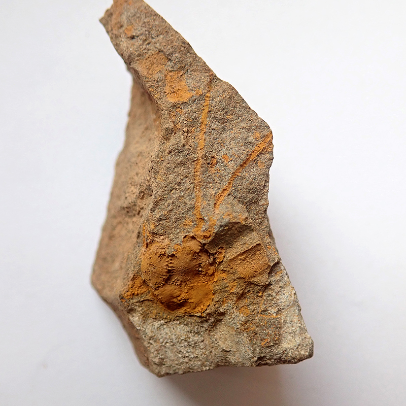 30 mm (sag), Týřovice, 2024