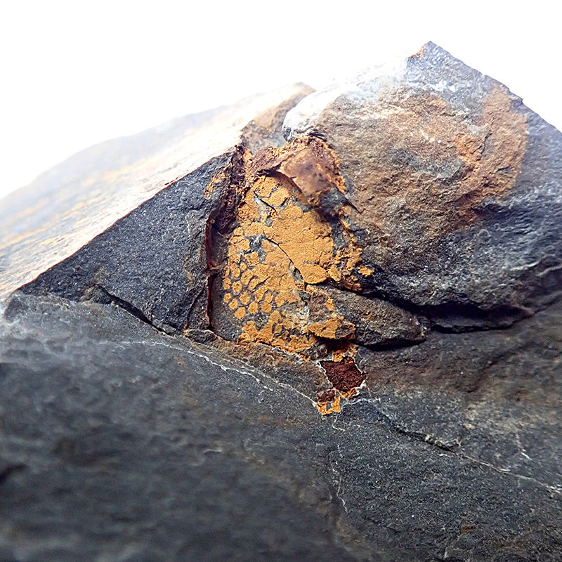 14 mm (sag), Skryje - Luh, 2024