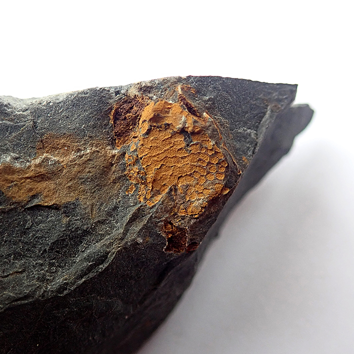 14 mm (sag), Skryje - Luh, 2024