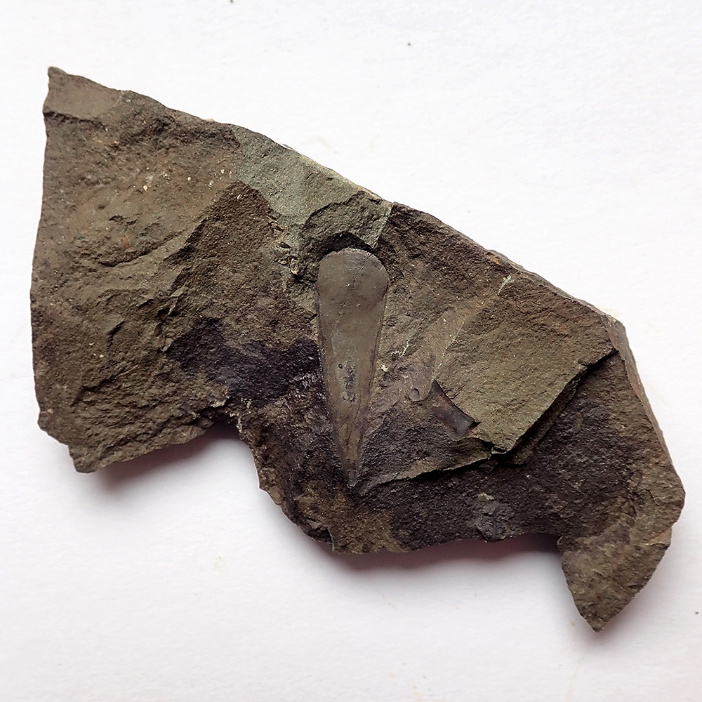 23 mm (sag), Dlouhá hora, 2025