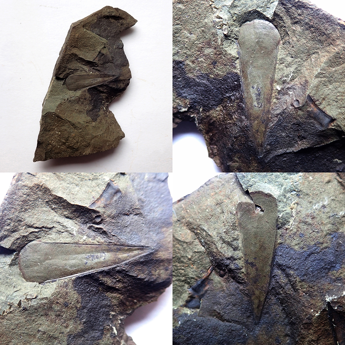 23 mm (sag), negativ vpravo dole, Dlouhá hora, 2025