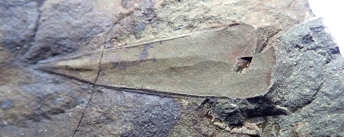 23 mm (sag) - negativ, Dlouhá hora, 2025